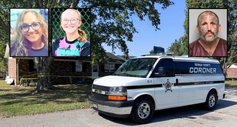 Man who stabbed mom and her daughter to death pleads guilty