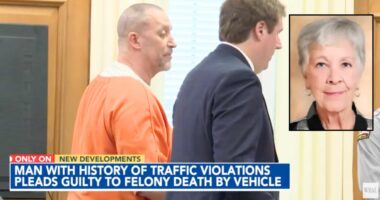 Man with 30 years of traffic charges crashed into librarian