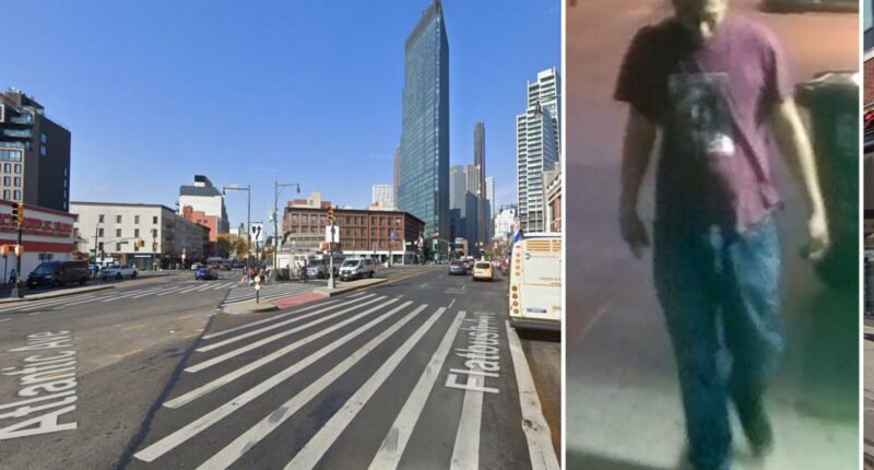 Maniac breaks senior citizen's jaw after chasing him near Barclays Center: sources