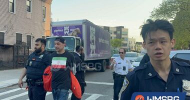 Maniac in Iranian flag T-shirt pummels three Jewish men in NYC: sources