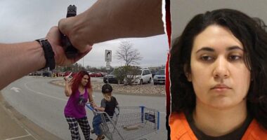 Maniac who stabbed boy outside Walmart was previously freed after attacking dad, church rampage: report