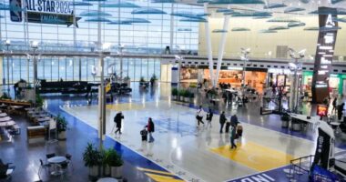 Manner of death revealed for passenger who plunged 50 feet at Indianapolis airport