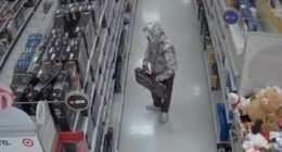 Man's brazen plot to steal Lego set exposed