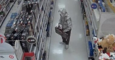 Man's brazen plot to steal Lego set exposed