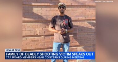 Marquettia Johnson, wife of CTA Pink Line shooting victim Raymond Harrison, calls for more security