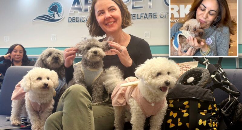 Meet the NYers saving hundreds of adorable dogs from ending up on the menu