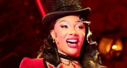 Megan Thee Stallion RUSHED to the hospital amid Broadway performance