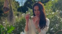 Meghan Markle shows off her 'complicated' floral arrangement in new promo for £191 As Ever tea box