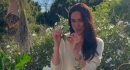 Meghan Markle shows off her 'complicated' floral arrangement in new promo for £191 As Ever tea box