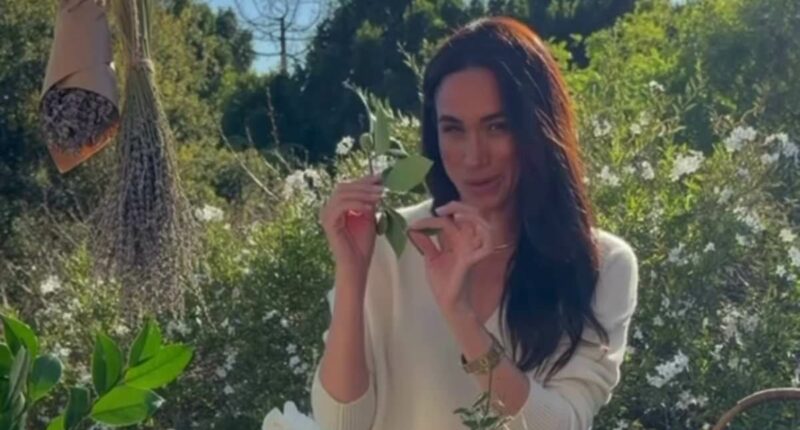 Meghan Markle shows off her 'complicated' floral arrangement in new promo for £191 As Ever tea box
