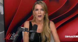 Megyn Kelly blasts Pete Hegseth's 'constant references to Jesus'