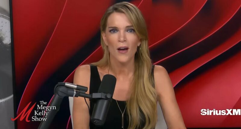 Megyn Kelly blasts Pete Hegseth's 'constant references to Jesus'