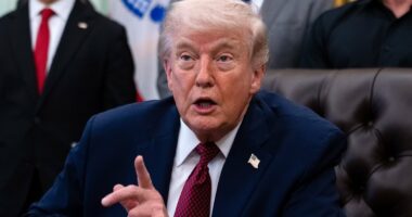 Megyn Kelly likens Trump to JAN BRADY as she mocks president's latest excuse for bombing Iran