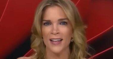 Megyn Kelly slams Melania Trump over her shock Epstein statement