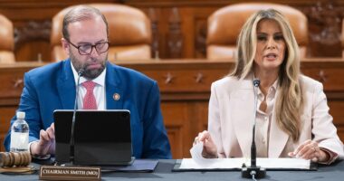 Melania Trump breaks silence for the first time since Epstein bombshell with bold message for lawmakers