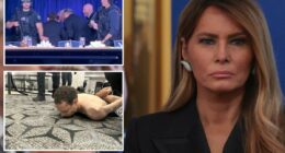 Melania Trump heard 'bad noise' as suspected gunman Cole Allen opened fire at White House Correspondentsâ Dinner