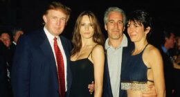 Melania Trump's links to Jeffrey Epstein revealed after shock speech
