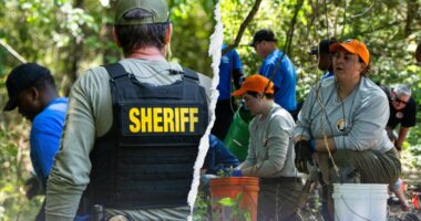 Memphis dog-walker makes haunting discovery: Bones of 3 children