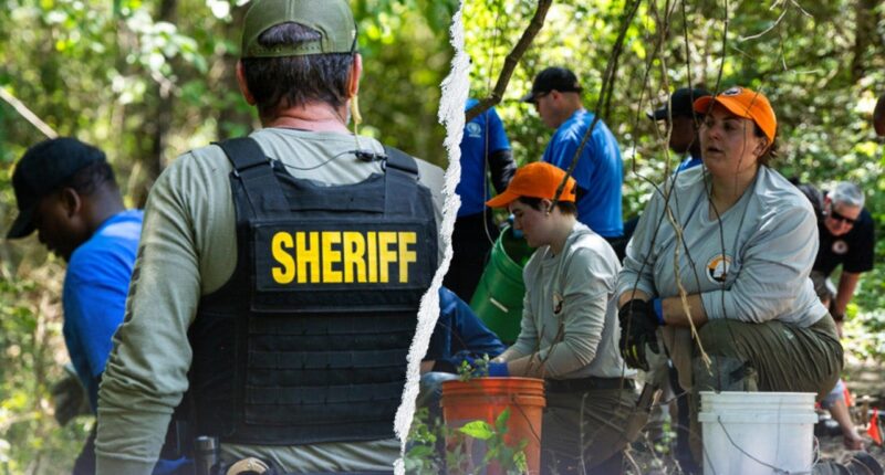 Memphis dog-walker makes haunting discovery: Bones of 3 children