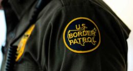 Mexican man pleads guilty to impersonating Border Patrol agent to 'disrupt deportation missions'