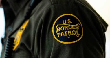Mexican man pleads guilty to impersonating Border Patrol agent to 'disrupt deportation missions'
