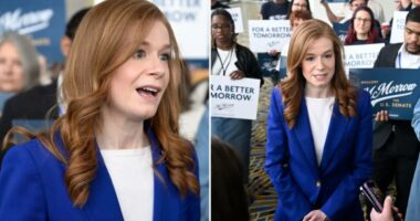 Michigan Democratic Senate candidate Mallory McMorrow purges X accountÂ following The Post's report on her social media history