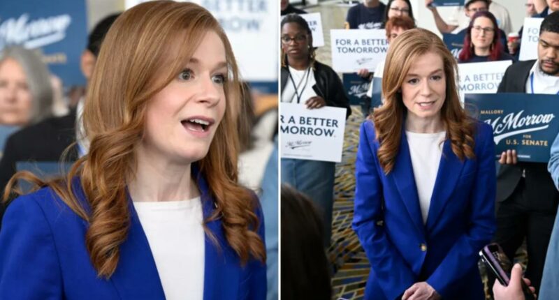 Michigan Democratic Senate candidate Mallory McMorrow purges X accountÂ following The Post's report on her social media history