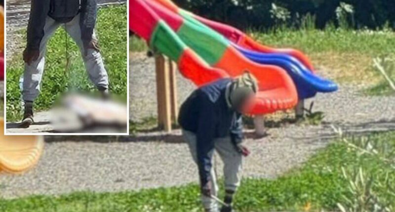 Migrant cooks cat at children's playground in Sarzana, Italy