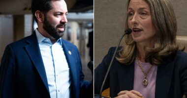 Mike Lawler foe championed confidential 'Gender Support' policy for transgender kids