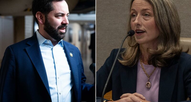 Mike Lawler foe championed confidential 'Gender Support' policy for transgender kids