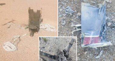 Military continues urgent search for F-15 co-pilot behind enemy lines in Iran