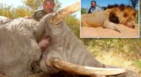 Millionaire big game hunter, 75, trampled to death by five elephants while eyeing his next kill in Africa