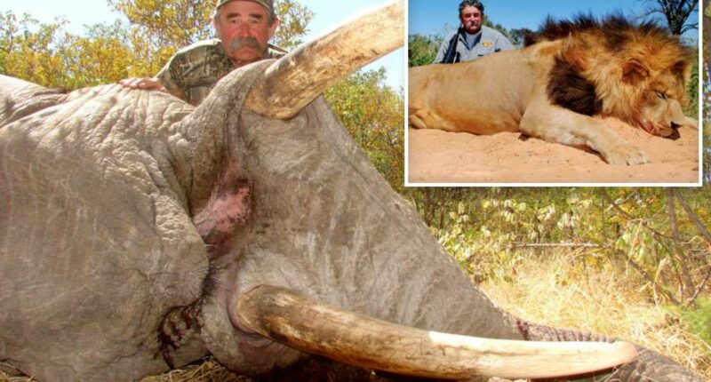 Millionaire big game hunter, 75, trampled to death by five elephants while eyeing his next kill in Africa