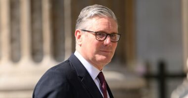 Minister won't say PM sacking mandarin over Mandelson row was 'fair'