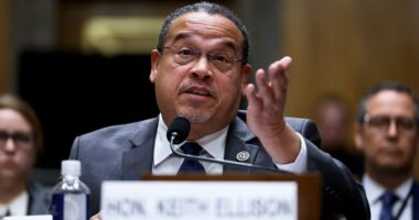 Minnesota fraud suspect skips court, forfeits bond, throwing $11M Medicaid case into doubt