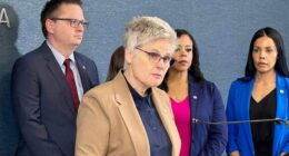 Minnesota prosecutor charges ICE agent in gun incident as Savanah Hernandez case remains uncharged