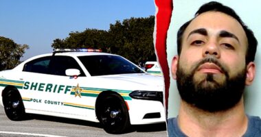 Missing teen found hiding in convicted sex offender's closet in Florida, sheriff says