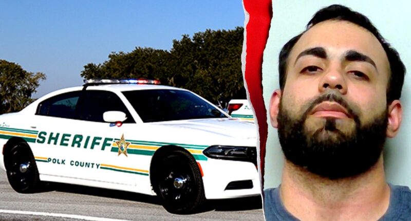 Missing teen found hiding in convicted sex offender's closet in Florida, sheriff says