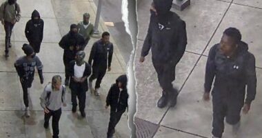 Mob of teens chases college student into campus dorm, unleashes violent attack as police hunt suspects