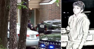 Molotov cocktail attack on Sam Altman's home sparks fears of copycat strikes against tech executives