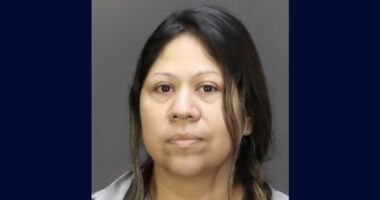 Mom allowed drunk 14-year-old son to drive car with little sister inside before he hit and killed a 67-year-old bicyclist