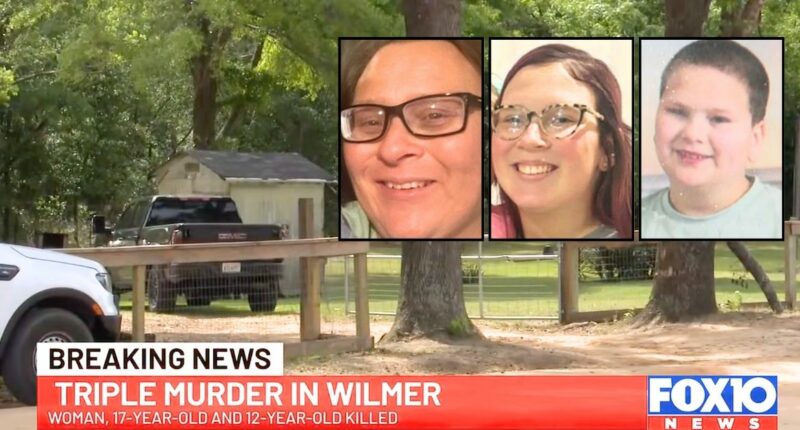 Mom and 2 kids found dead with hands bound behind them: Cops