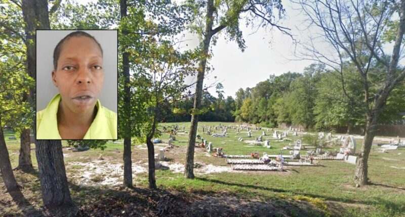 Mom dug up baby daughter's grave, left her in driveway: Cops