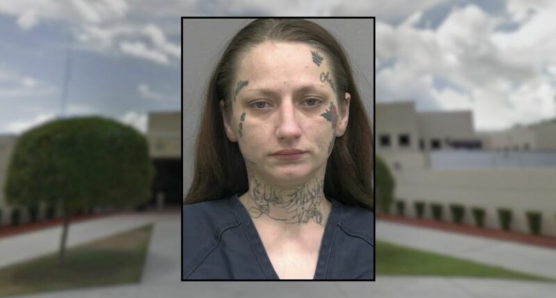 Mom made baby formula with water she used to clean her methamphetamine needles: Police