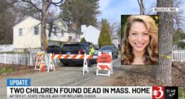 Mom who killed 2 kids was fighting for custody: Prosecutor