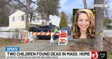 Mom who killed 2 kids was fighting for custody: Prosecutor