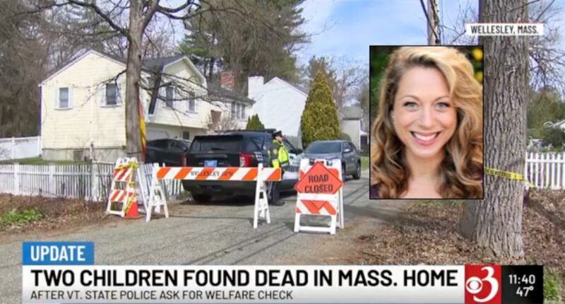 Mom who killed 2 kids was fighting for custody: Prosecutor