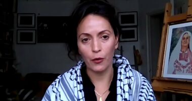 Moment Green 'anti-Zionism activist says Hamas is NOT a terror group