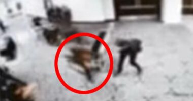 Moment shooter ran past security at White House Correspondents' Dinner