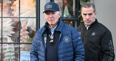 More than half of voters say Biden was wrong to pardon son Hunter, and that the scandal is just as damaging as Watergate